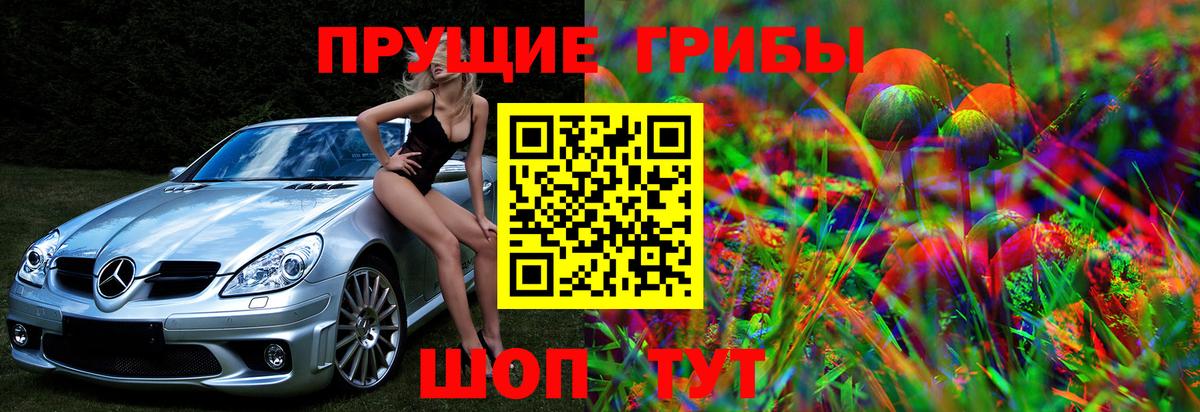 Псилоцибиновые грибы Psilocybe Алексин