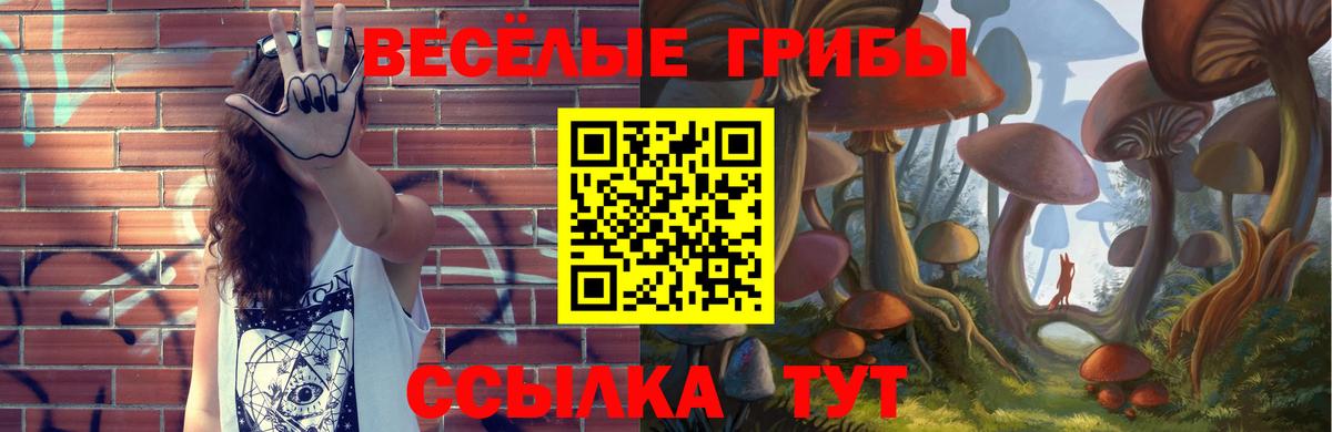 Алексин  Псилоцибиновые грибы мухоморы  Вход с VPN 